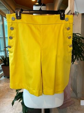 Max Mara dress shorts, size 10.